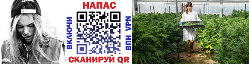 Цена Полярные Зори СОЛЬ МАРИХУАНА Галлюциногенные грибы ГАШ КОКАИН Метамфетамин МЕФ