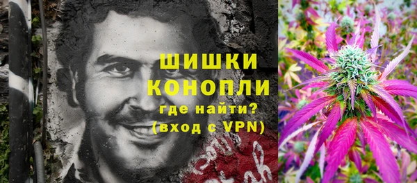 индика Балахна