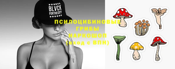 спайс Нея