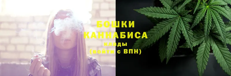 Конопля Bruce Banner  Полярные Зори 